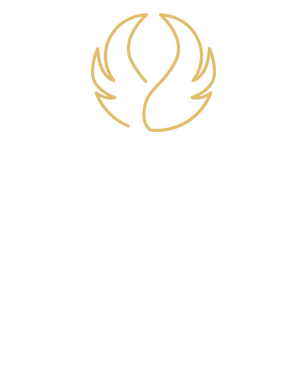 precio full